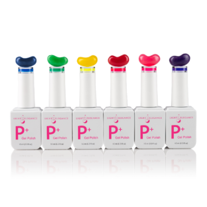 P+ JELLIES Bundle (6/10ml)